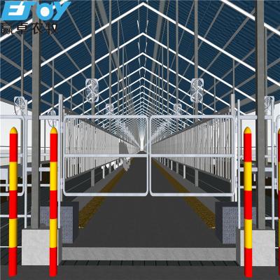 China Industrial Professional Designed Steel Structure Cow Shed for sale