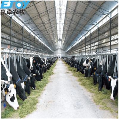 China Industrial Chinese Made Steel Structure Dairy Farm Barn for sale