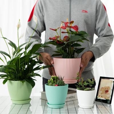 China Bulk Plastic Wholesale OEM/ODM Modern Flower Pots Factory Colorful Eco-friendly Succulent Pot for sale