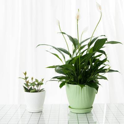 China Wholesale Modern White Factory Decoration Indoor Pot PP Plastic Potted Plants for sale