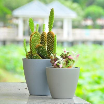 China Multi-Specifications Modern Indoor Gold Desktop Potted Plants Planters Home Decorations Garden Planter Clay Flower Pots for sale