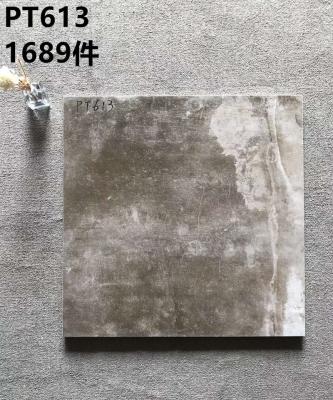 China Tile 600x600 modern rustic for sale