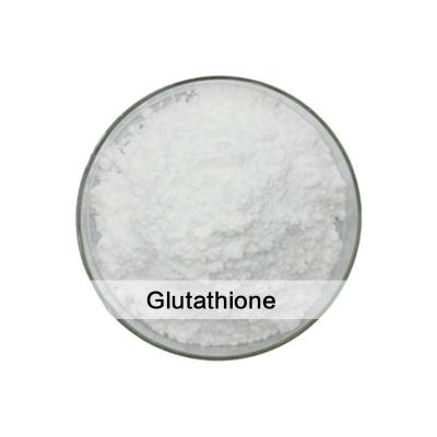 China Glutatión 99% Stock de materia prima Glutatión reducido 70-18-8 Alta pureza y eficiencia en venta