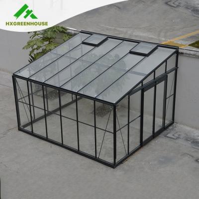 China Easily Assembled Mini Rubber Sealed Aluminum Garden Greenhouse Lean To Glass Greenhouse for sale