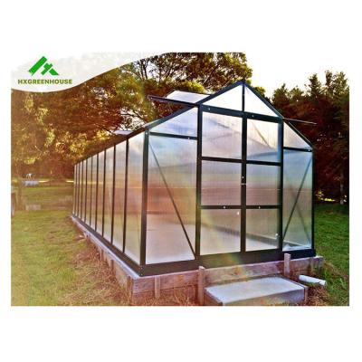 China PC Sheet Eden Green 6 mm Polycarbonate PC Single Dooryard Tomato Greenhouse For Agriculture for sale