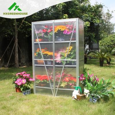 China HX64224 Widely Used Simple Simple Flower Pot Saving Easily Assembled Mini Greenhouse For Backyard for sale