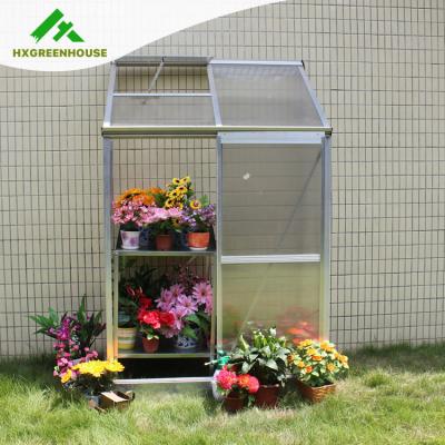 China Popular Low Cost Lean-To Halls Mini Plastic Cover Easily Assembled Indoor Greenhouse For Tomato Flower For Sale HX64312 for sale