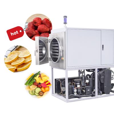 China Food Processing 10 Kg Capacity Vacuum Freeze Dryer Small For Cherry/Pineapple/Lemon/ Avocado Freeze Dryer Price for sale