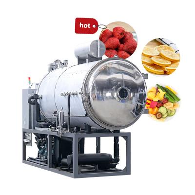 China Food Processing Cucumber Broccoli Pumpkin Freeze Drying Machine Freeze Dryer Machine Capacity 50 Kg for sale