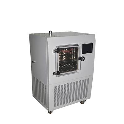 China Medicine Curing Lab 2022 Hot Vacuum Mini Freeze Dryer for sale