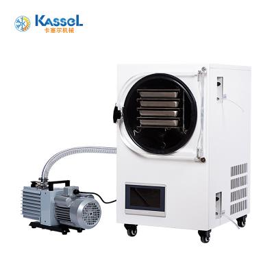 China Factory Home Freeze Drying Food Freeze Dryer Household Vacuum Pump Freeze Dryer for sale