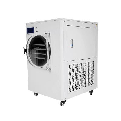 China China High Efficiency Low Cost Small Cheap Freeze Dryer For Home Use Small Medium Large Size Freeze Dryer Freeze Dryer Machine for sale