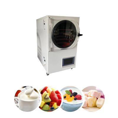 China Food Processing Food Freeze Household Vacuum Pump Freeze Dryer Dryer for sale