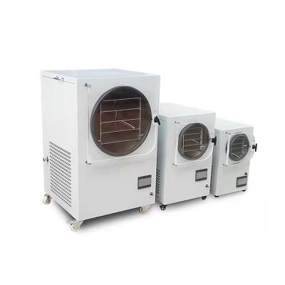 China High efficiency small mini cheap freeze dryer commercial wholesale home freeze drying machine for sale