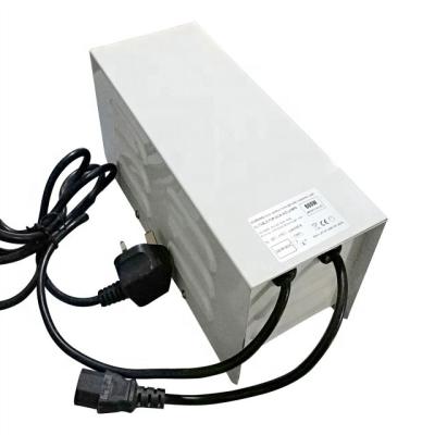 China Economic high quality price hydroponics wise professional metal enclosed magnetic ballast 400w/600w for sale