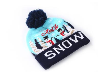 China Printed Picture Acrylic Fibers Gourd Hat Knitted Hat Chrismas Hat for sale