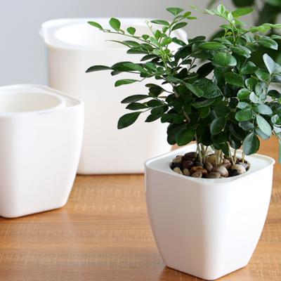 China eco-friendly indoor plastic square flower pots, self watering system flower pots, balcony plastic flower pot for sale