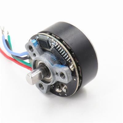 China BL3830O totally enclosed motor 12v 3900rpm 22W 38mm outrunner brushless motor for mini massager gun bl3830 for sale