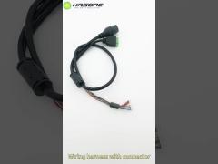 017 Custom Cable Harness Assembly Rj45f/3.81 Pitch 2pin Terminal Block With Lugs Waterproof Wire For