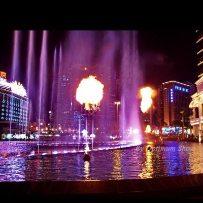 China Supplier Factory Assurance Mixed Water Fountain of New Design Project Fountain Modern Chinese Commercial Musical Dance Fire for sale