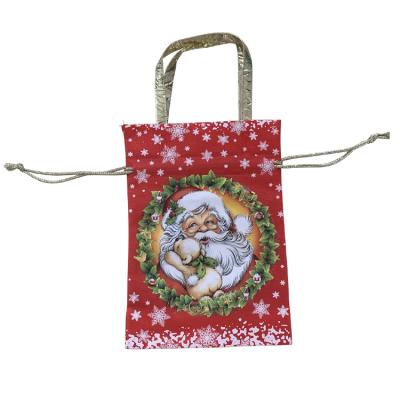 China 100% eco-friendly, biodegradable non woven christmas bags for sale