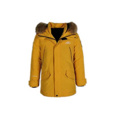 China Anti-wrinkle OEM Tending Plus Size Men Winter Jacket Warm Stripper Down Jackets for sale