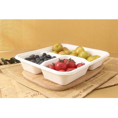 China Modern Food Disposable Tray Paper Plates Compoastable Sugarcane Bassage Three Grid Disposable Dish for sale