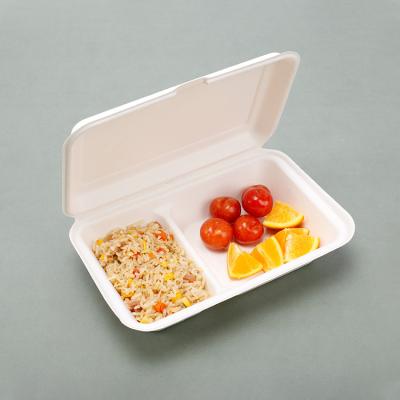 China Fruit Food Box Disposable Biodegradable Packaging Eco-Friendly Sugarcane Sushi Take Away Food Container for sale