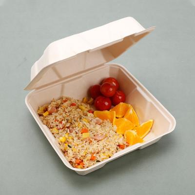 China Eco-Friendly Disposable Biodegradable Bento Lunch Box Food Packaging Container Sushi Paper Box Sugar Cane Bagasse for sale