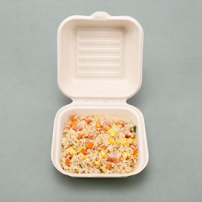 China Disposable Eco-Friendly Biodegradable Clamshell Take Away Compostable Sugarcane Bagasse Boxes Bagasse Disposable Lunch Box for sale