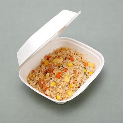 China Eco Microwavable Biodegradable Disposable Dairy Containers Takeaway Food Packaging Storage Container for sale