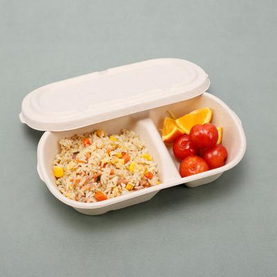 China Factory Supply Non-Toxic Food Storage Box Disposable Biodegradable Food Container Packing Box for sale