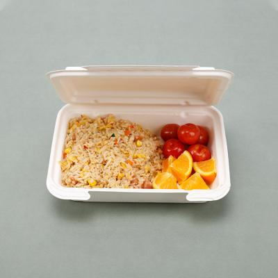 China Sugarcane Disposable Eco-friendly Bagasse Food Box Paper Container Noodle Box Compostable Biodegradable Disposable Caterer for sale