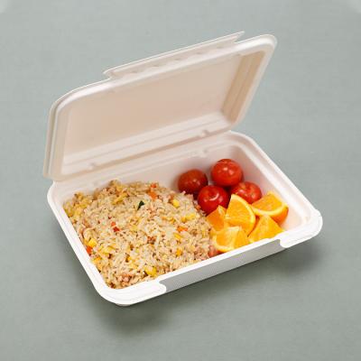 China Non-Toxic Compostable Biodegradable Food Take Out Disposable White Paper Lunch Box Food Sugarcane Bagasse Packaging Containers for sale