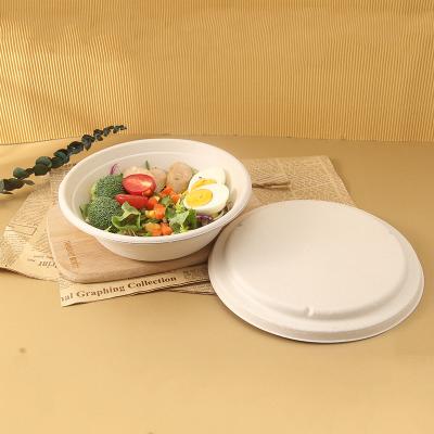 China Wholesale Disposable Biodegradable Design Plates Tray With Lid Sugarcane Bagasse Compostable Disposable Food Tray With Lid for sale