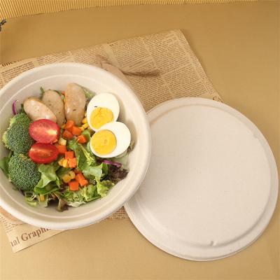 China Biodegradable Food Bowl Biodegradable Food Bowl Disposable Food Bowl Cover Storage Compostable Disposable Bowls Small for sale