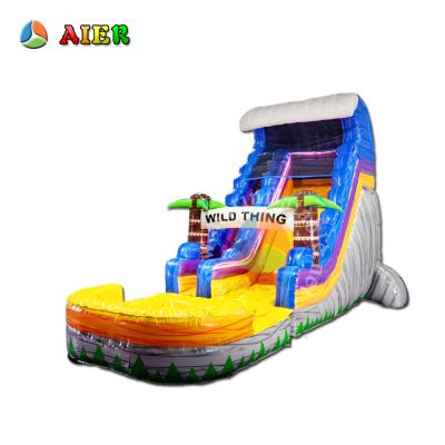 China hot sale WILD THING inflatable water slide 20ft kid's 3-12-years-old indoor game inflatable water slide with LED light for sale for sale