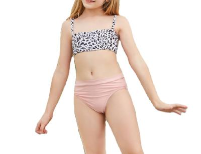 China 2021 New Children's Breathable Swimwear Children's Beach and Girls Wear Girls' Two-Piece Swimwear for sale