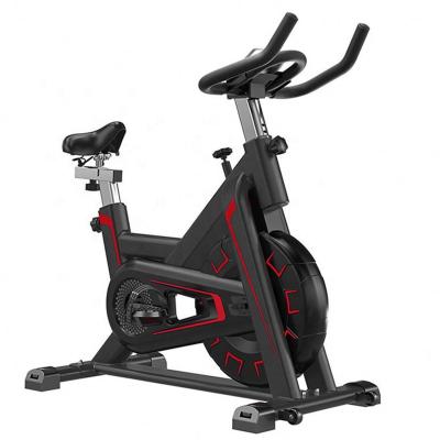 China Home Use Fitness Equipment Home Exercise Bike Professional Spinning Bike With Screen for sale