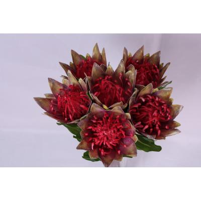 China Artificial Flower Wedding Directly Real Peva Artificial Flower Wholesale Touch Real Peva Artificial Flower King Protea proteafactory &home decoration artificial proteafactory for sale