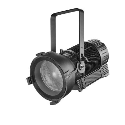 China Theme Park 300W Full Color Water Proof LED Fresnel Light With Automatic Buzzing Outdoor Light for sale