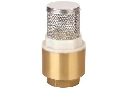 China General Good Corrosion Resistance And Cheap Brass Check Valve With Stainless Steel Filter for sale