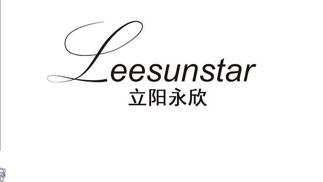 Verified China supplier - Leesun Technology Co., Ltd.