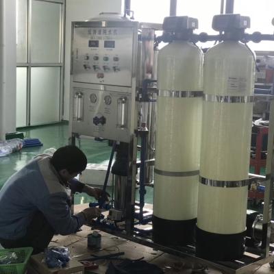 China LS-700LRO2G 700L/H Hotels RO Industry Water Treatment Filtration Plant for sale