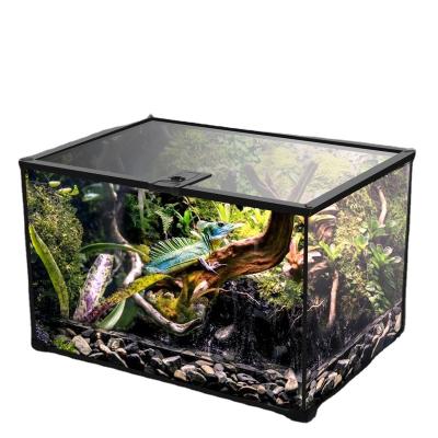 China Horned Breathable Glass Feeding Box For Frog Lizard Palace Guarding Corn Snake Rutin Chicken Reptile Tank Feeding Box for sale