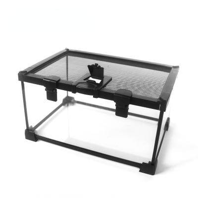 China Breathable Glass Feeding Box For Frog Tortoise Lizard Spider Snake Chicken Reptile Tank Feeding Box for sale