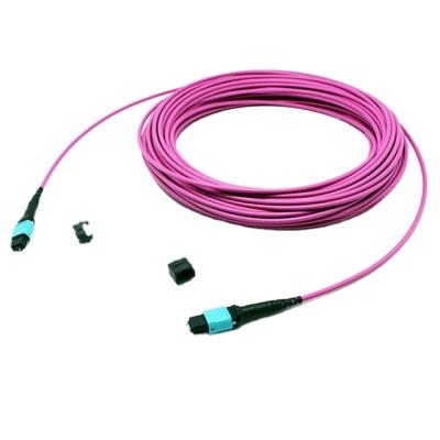 China Telecom Fiber Optic Jumper Trunk Cable SM 12core MTP/MPO Female Patch Cord for sale