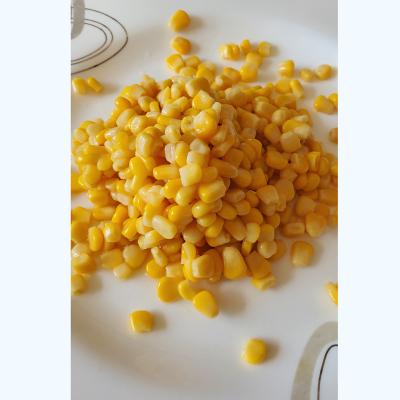 China Factory Canned Price 340g Canned Corn Yellow Canned Corn In Water for sale