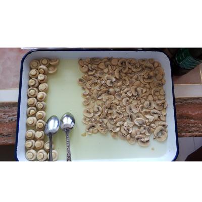 China Halal Canned Canned Mushroom Price Per Mushroom Slice Middle East Mushroom Market for sale