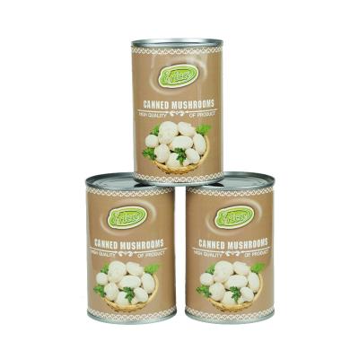 China Canned Premium Quality Canned 0yster Mushroom Straw Mushroom Canned Mushroom Price for sale